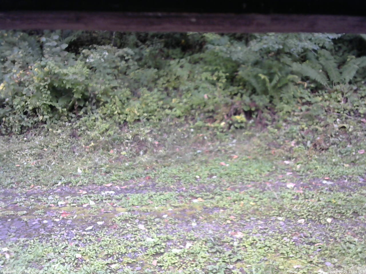 長野県菅平高原 ゆたか山荘 東側(坂下) 2026/09/23 13:00
