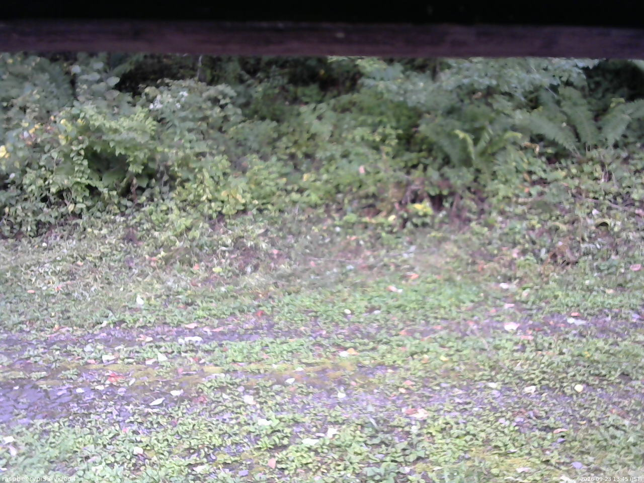 長野県菅平高原 ゆたか山荘 東側(坂下) 2026/09/23 13:45