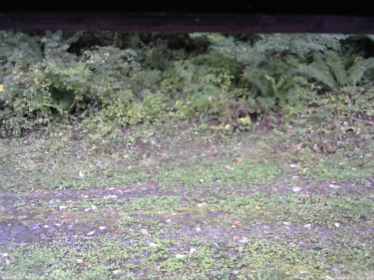 長野県菅平高原 ゆたか山荘 東側(坂下) 2026/09/23 14:15
