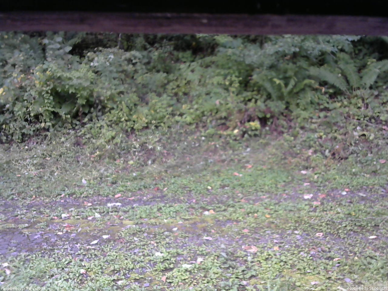 長野県菅平高原 ゆたか山荘 東側(坂下) 2026/09/23 16:00