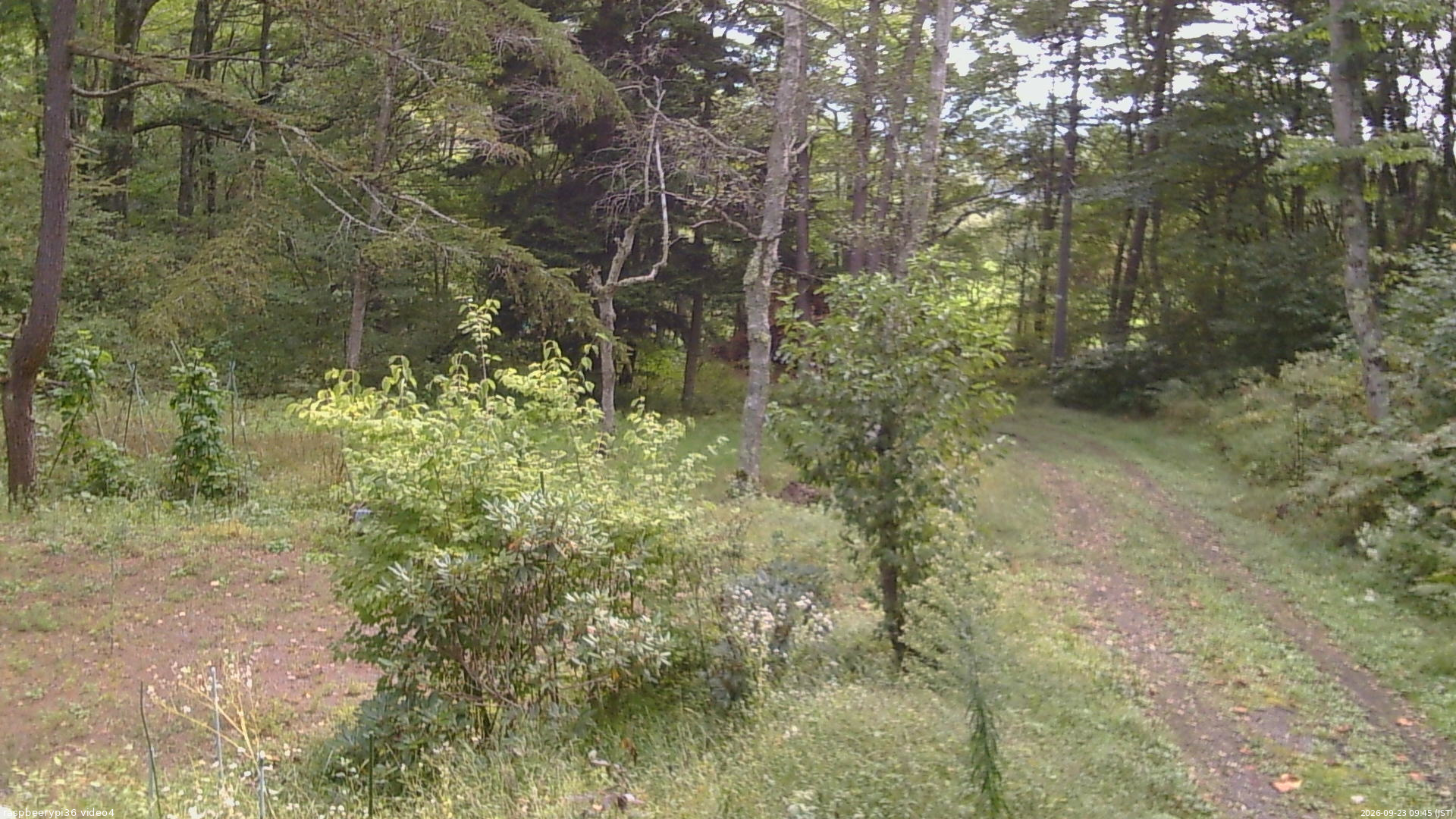 長野県菅平高原 ゆたか山荘 坂上 2026/09/23 09:45