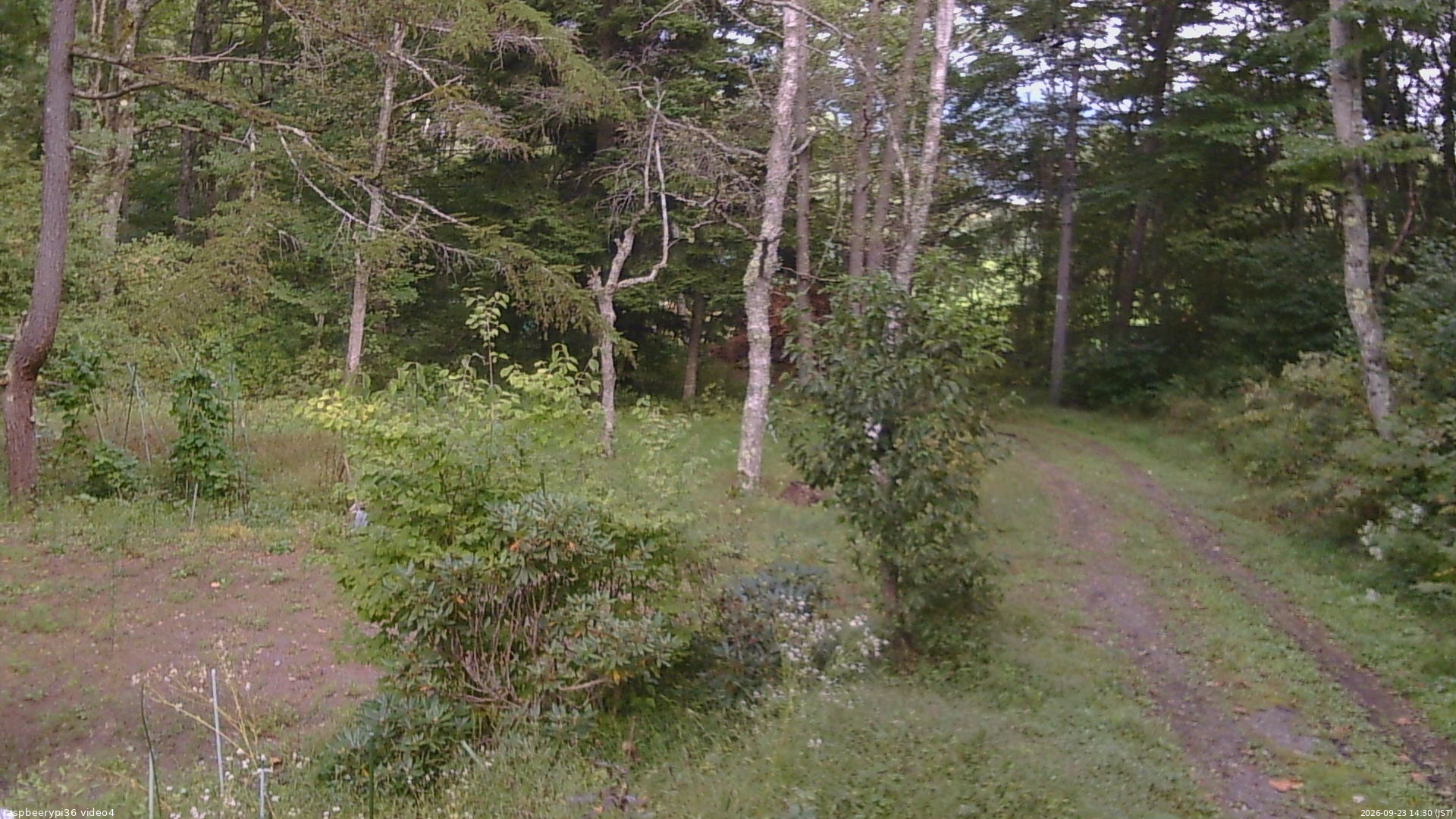 長野県菅平高原 ゆたか山荘 坂上 2026/09/23 14:30