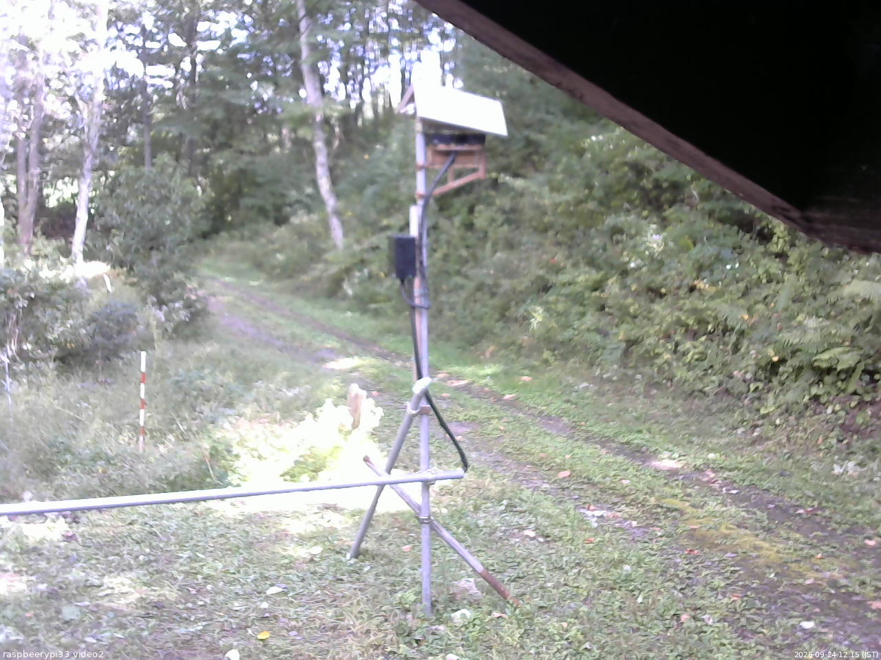 長野県菅平高原 ゆたか山荘 南側 2026/09/24 12:15