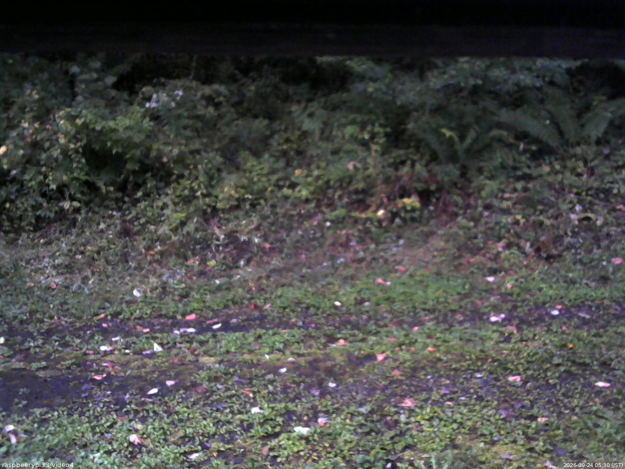 長野県菅平高原 ゆたか山荘 東側(坂下) 2026/09/24 05:30