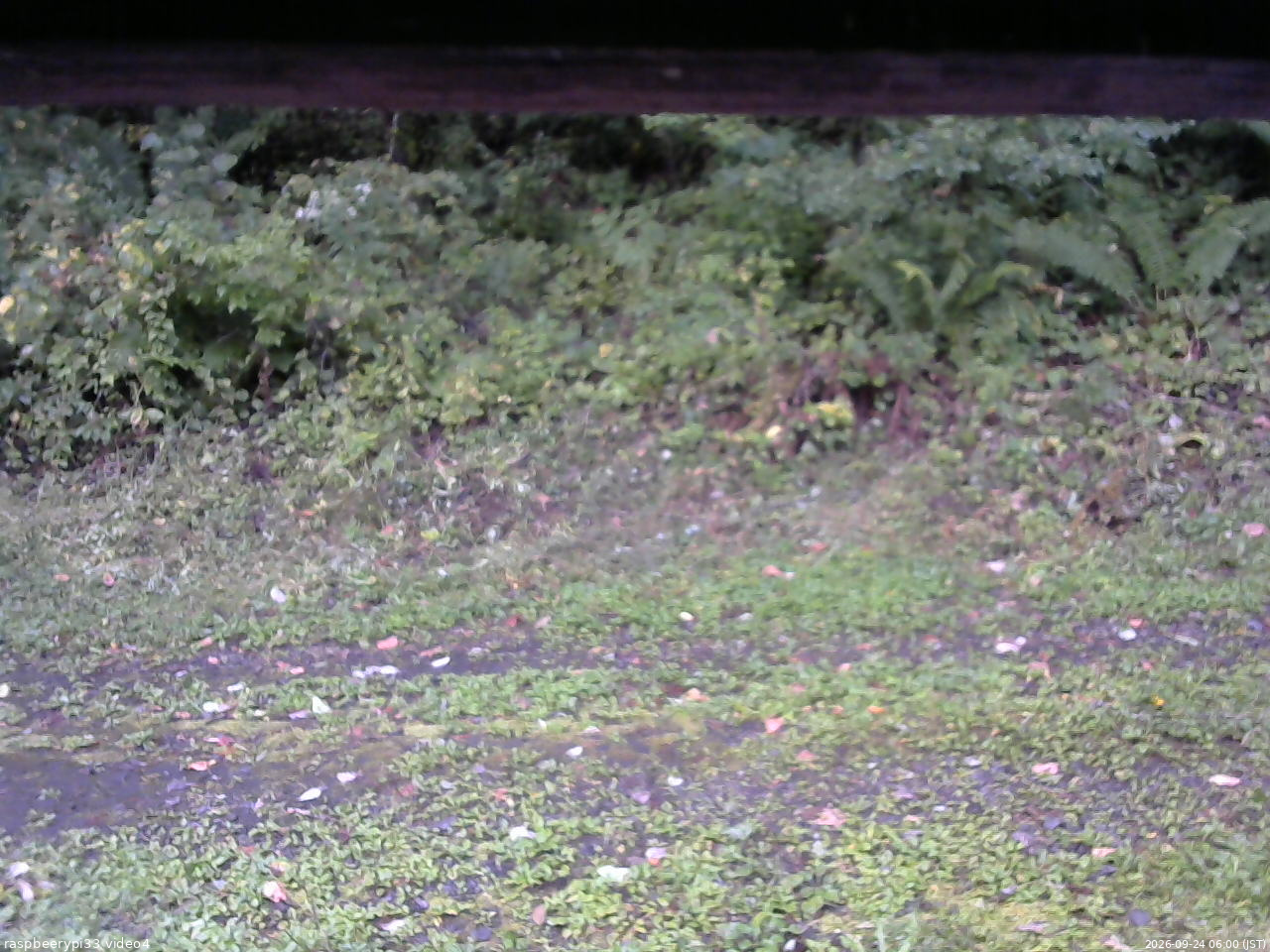 長野県菅平高原 ゆたか山荘 東側(坂下) 2026/09/24 06:00