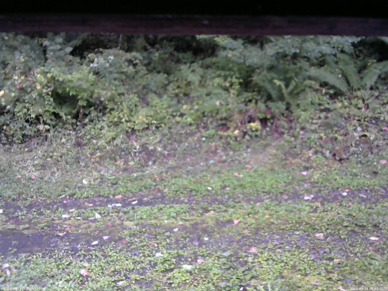 長野県菅平高原 ゆたか山荘 東側(坂下) 2026/09/24 06:45