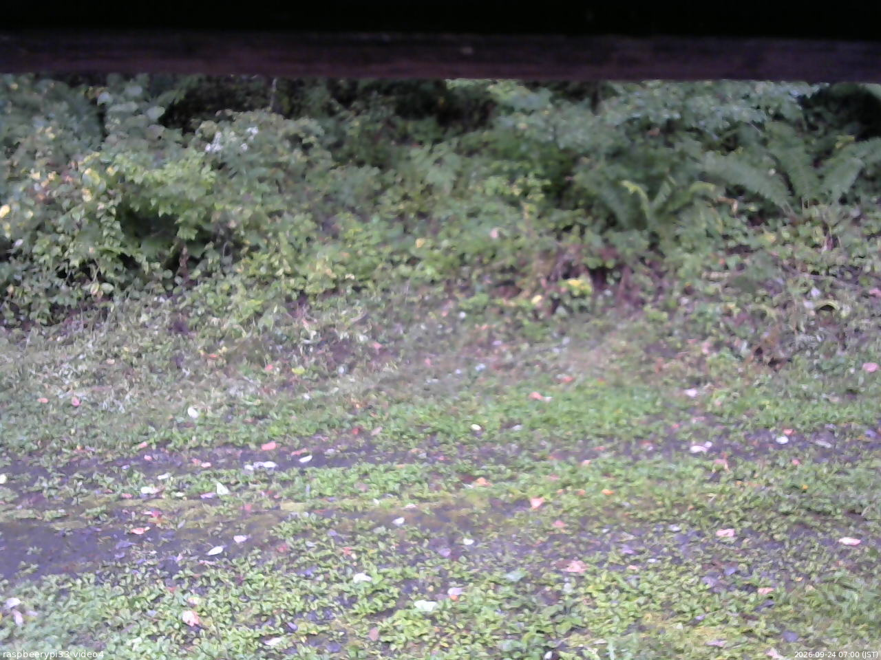 長野県菅平高原 ゆたか山荘 東側(坂下) 2026/09/24 07:00