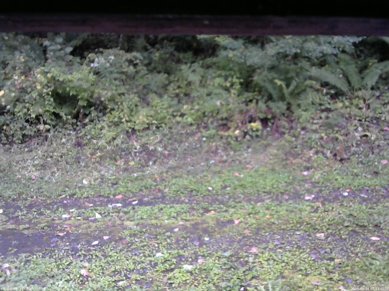 長野県菅平高原 ゆたか山荘 東側(坂下) 2026/09/24 07:15