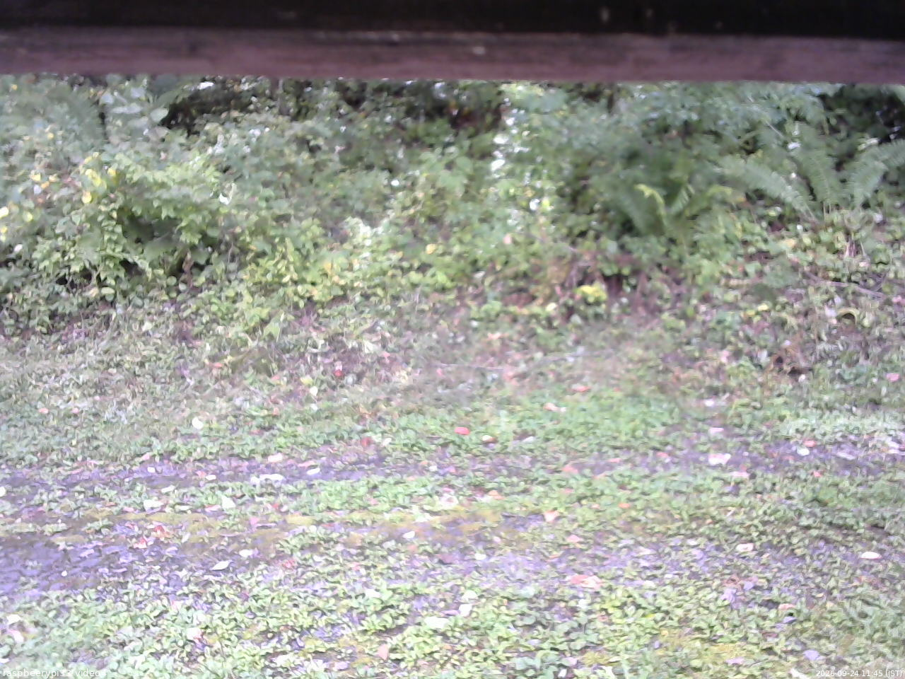 長野県菅平高原 ゆたか山荘 東側(坂下) 2026/09/24 11:45
