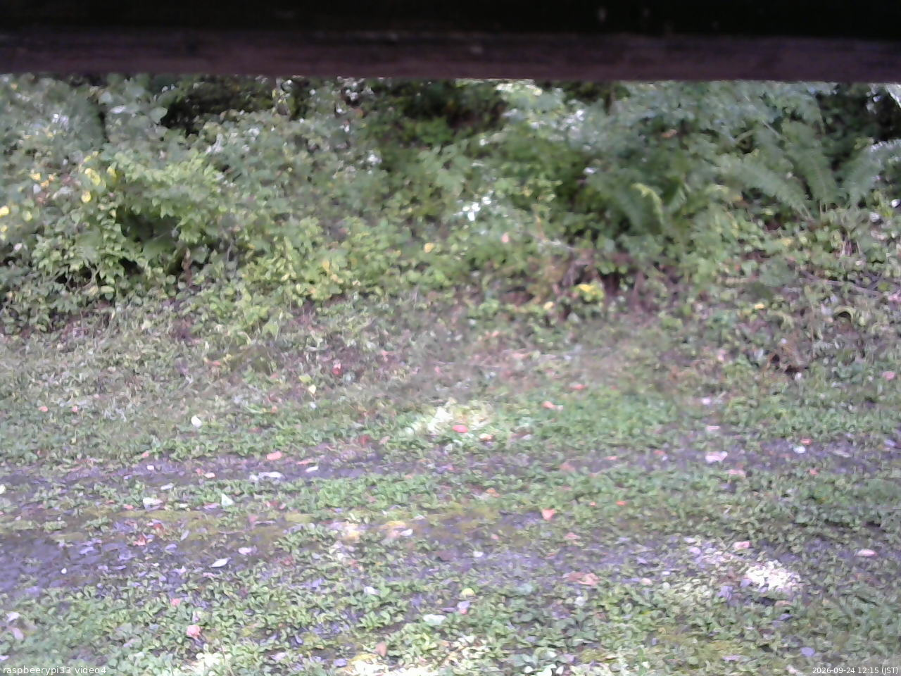 長野県菅平高原 ゆたか山荘 東側(坂下) 2026/09/24 12:15