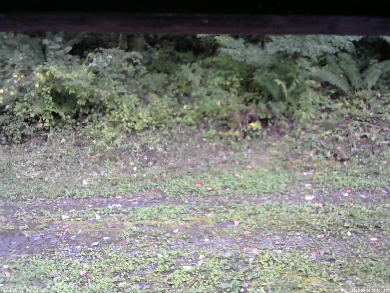 長野県菅平高原 ゆたか山荘 東側(坂下) 2026/09/24 15:30