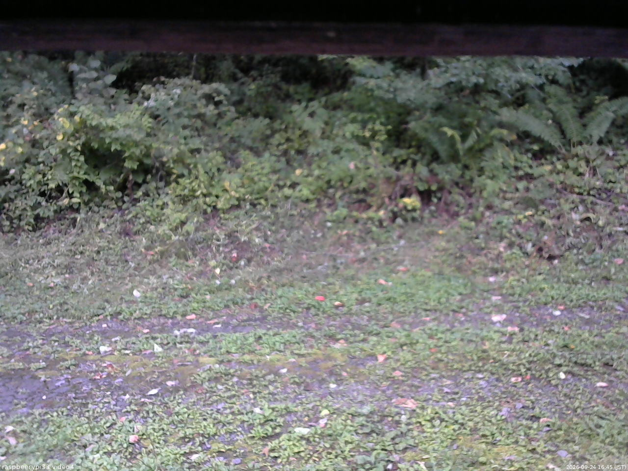 長野県菅平高原 ゆたか山荘 東側(坂下) 2026/09/24 16:45