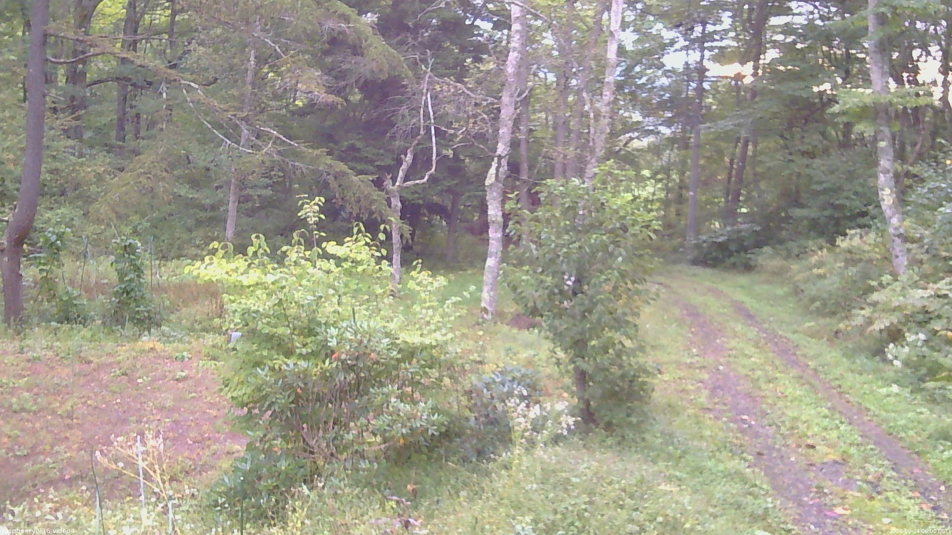長野県菅平高原 ゆたか山荘 坂上 2026/09/24 06:00
