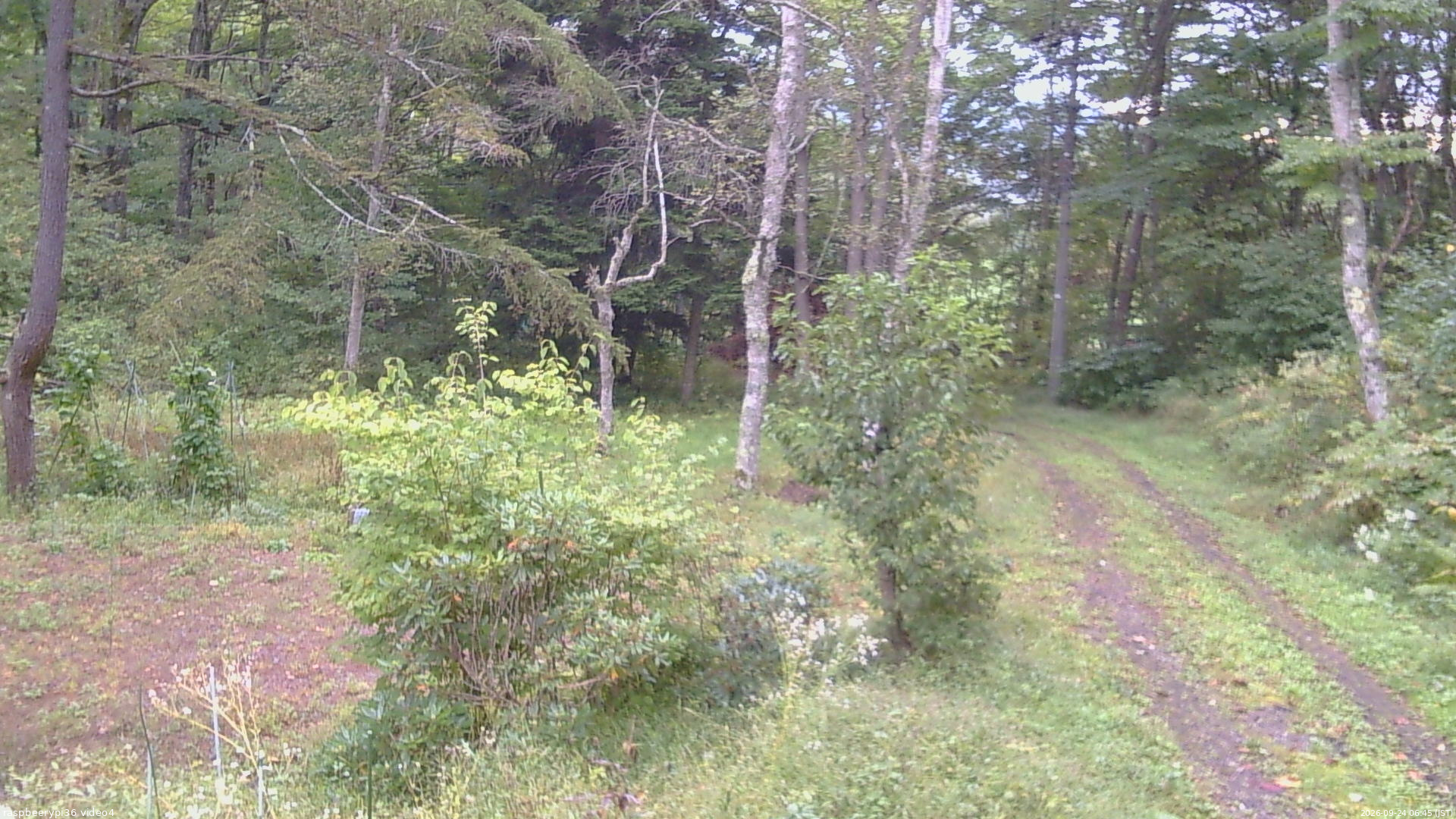 長野県菅平高原 ゆたか山荘 坂上 2026/09/24 06:45