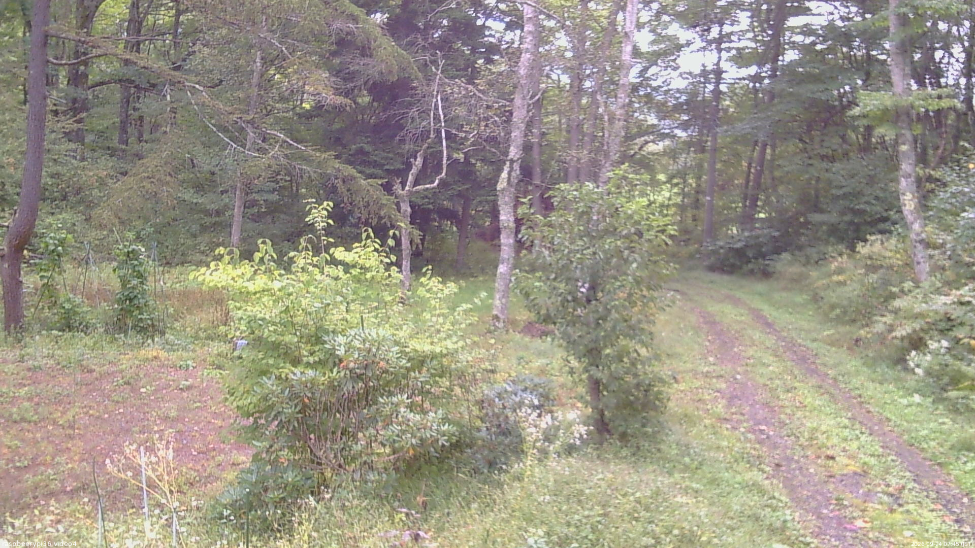 長野県菅平高原 ゆたか山荘 坂上 2026/09/24 07:45