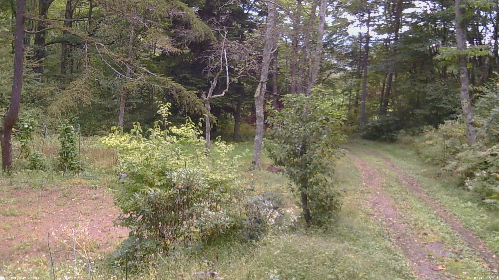 長野県菅平高原 ゆたか山荘 坂上 2026/09/24 10:15