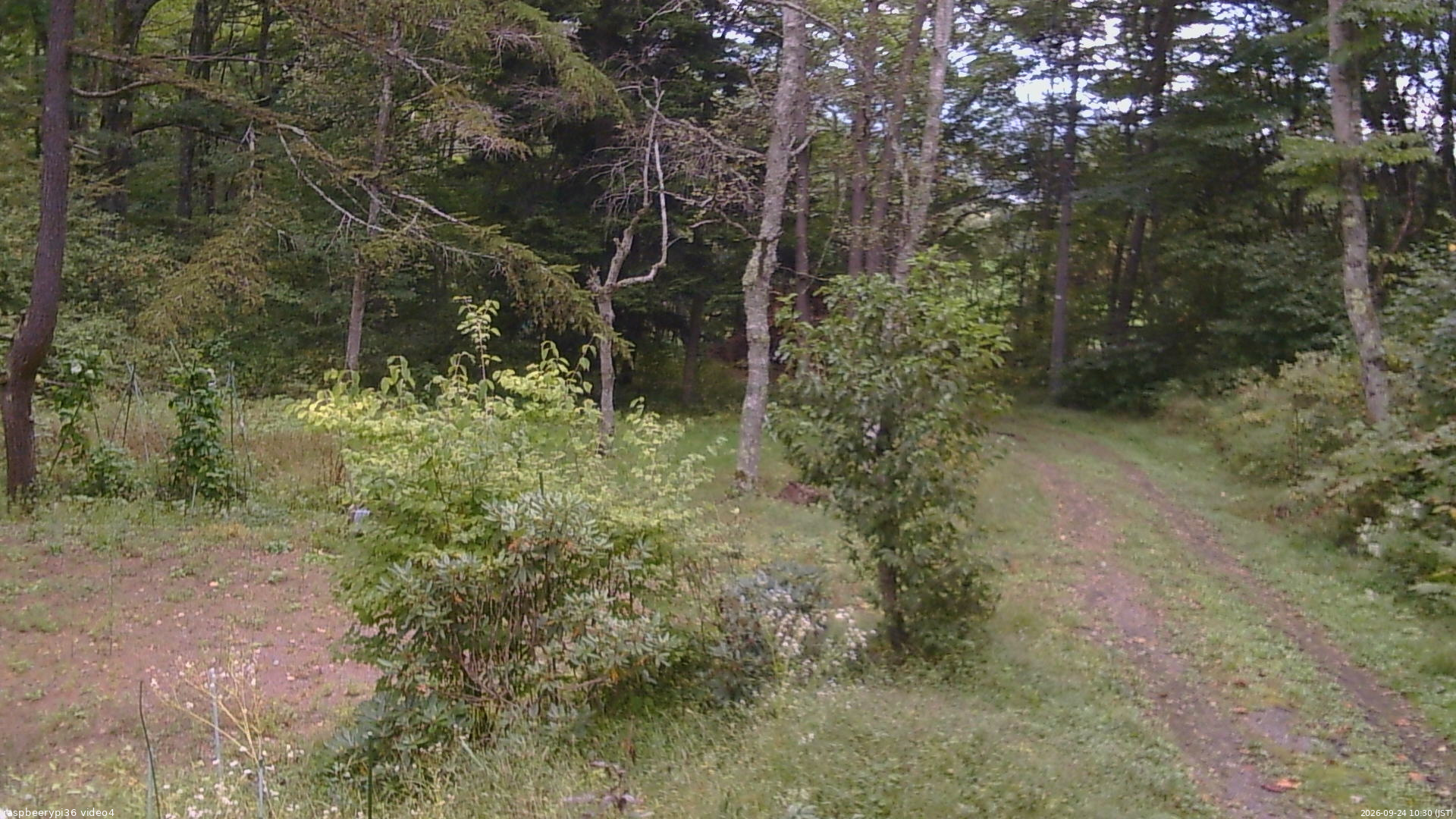 長野県菅平高原 ゆたか山荘 坂上 2026/09/24 10:30