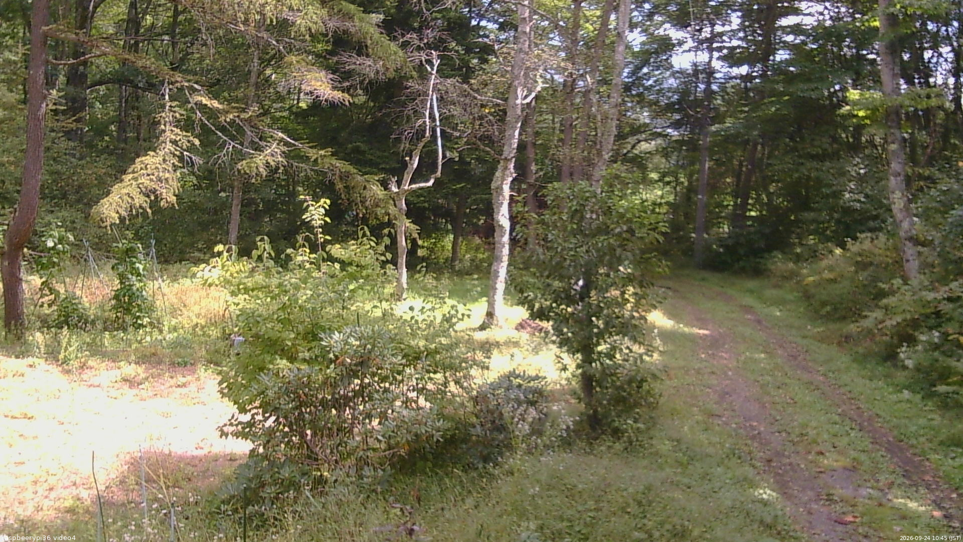長野県菅平高原 ゆたか山荘 坂上 2026/09/24 10:45