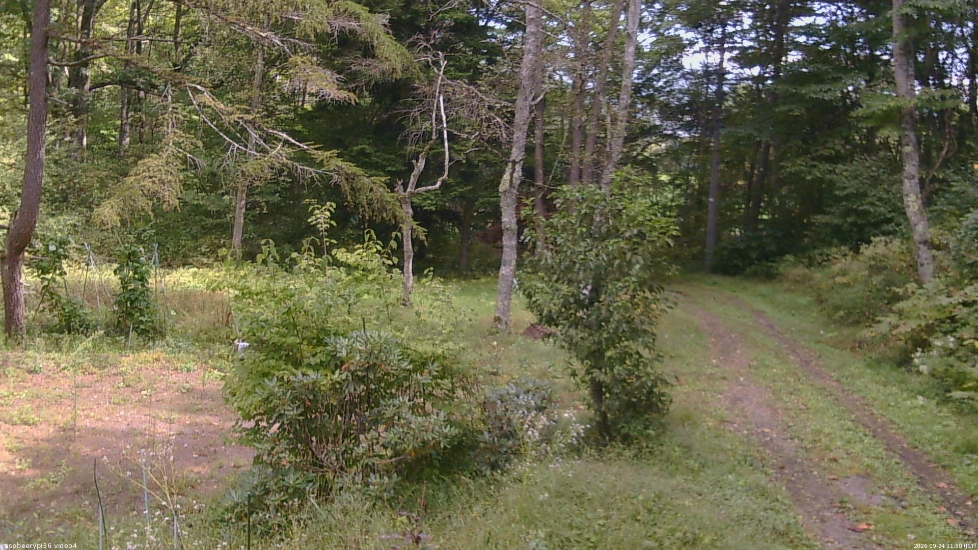 長野県菅平高原 ゆたか山荘 坂上 2026/09/24 11:30