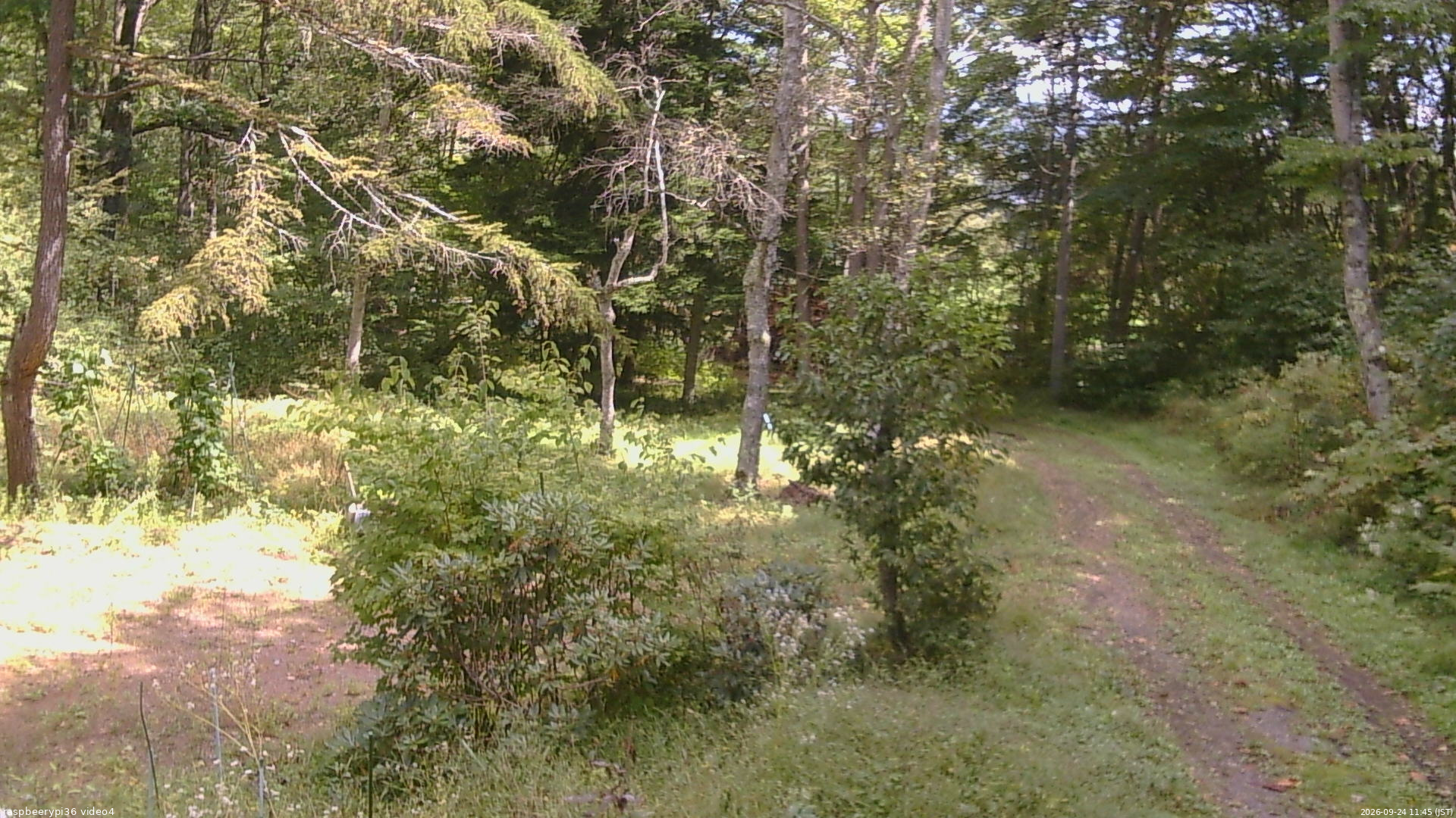 長野県菅平高原 ゆたか山荘 坂上 2026/09/24 11:45