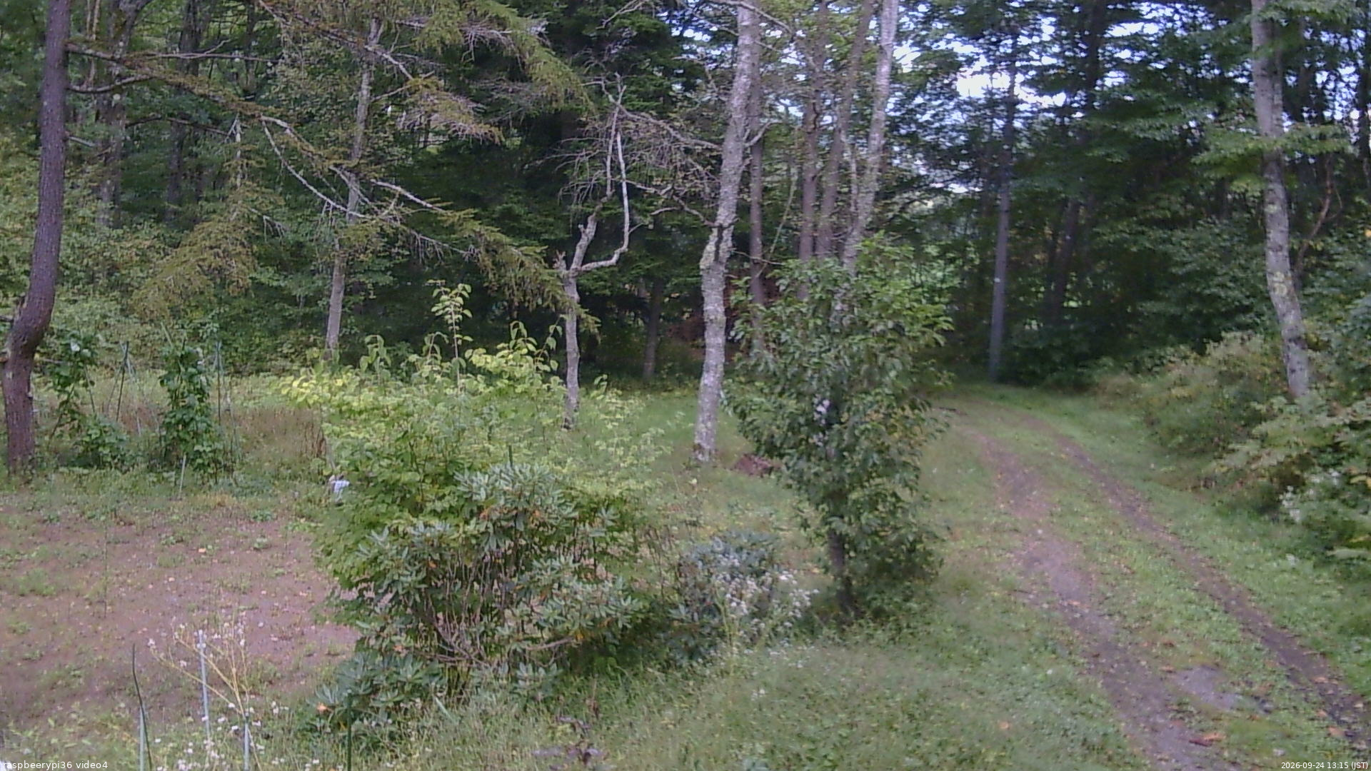 長野県菅平高原 ゆたか山荘 坂上 2026/09/24 13:15