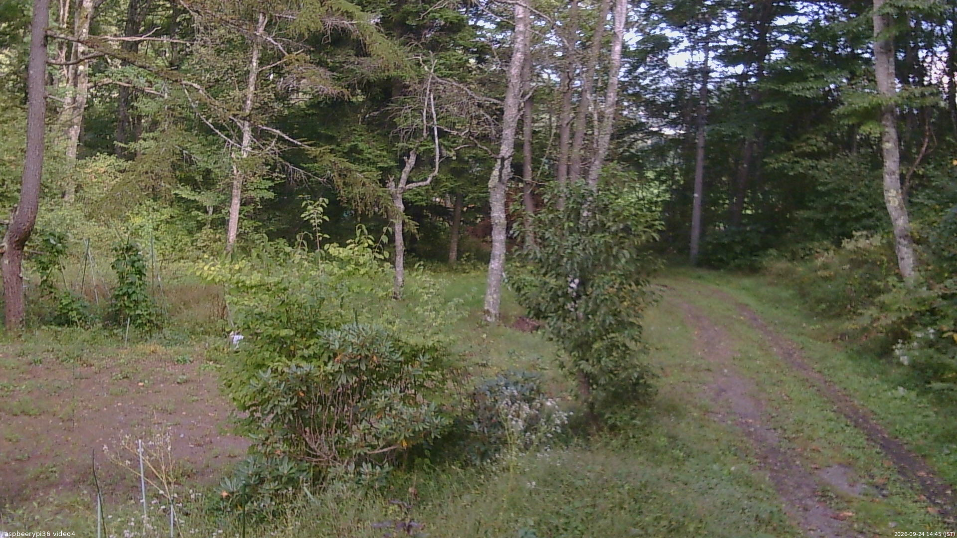 長野県菅平高原 ゆたか山荘 坂上 2026/09/24 14:45