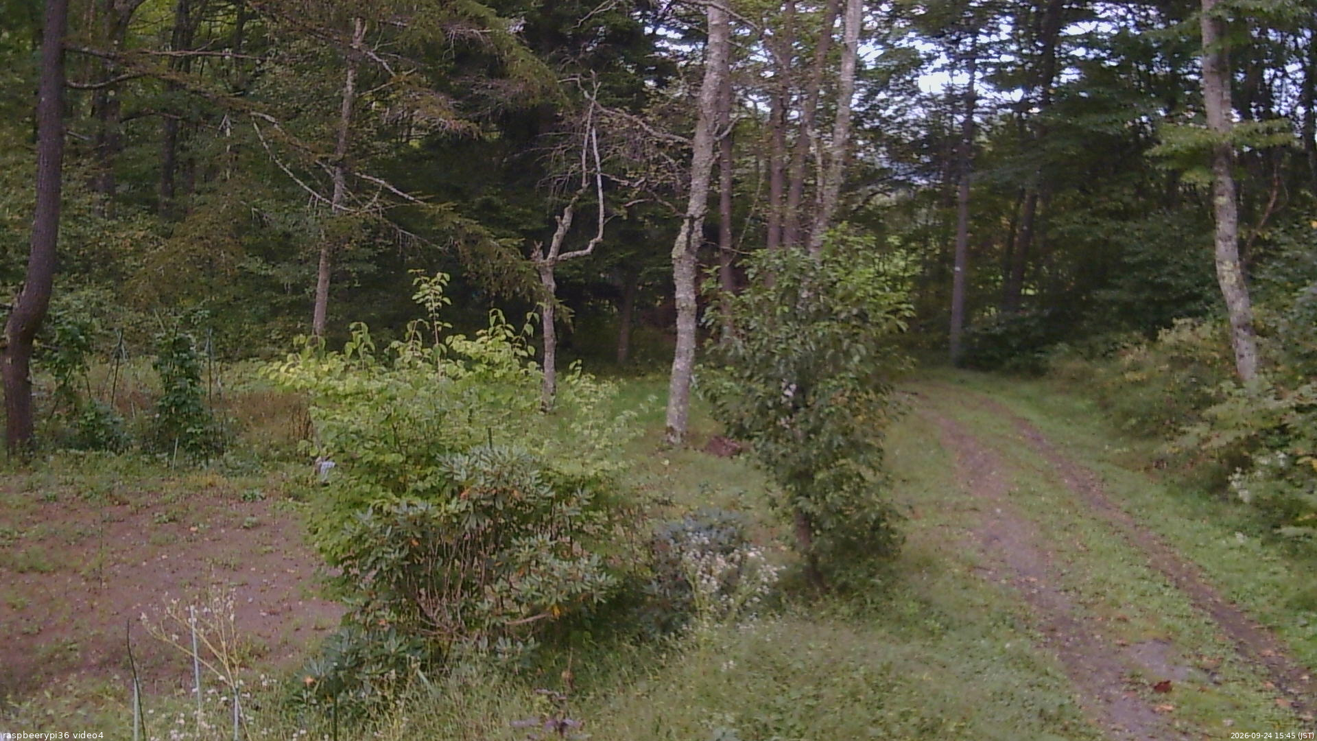 長野県菅平高原 ゆたか山荘 坂上 2026/09/24 15:45