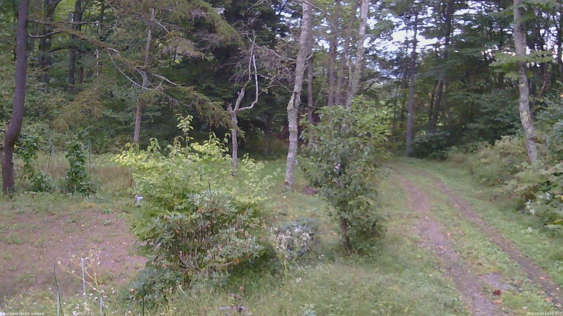 長野県菅平高原 ゆたか山荘 坂上 2026/09/24 16:45
