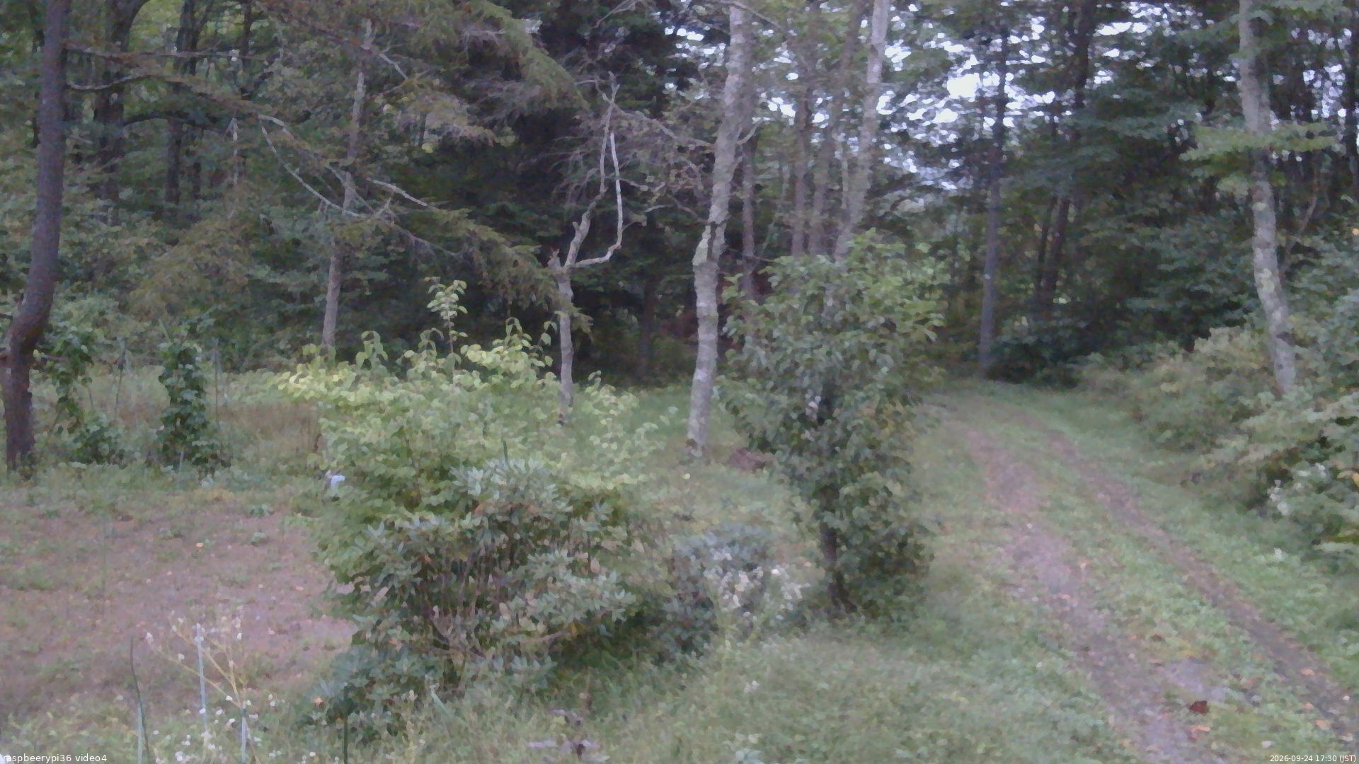 長野県菅平高原 ゆたか山荘 坂上 2026/09/24 17:30