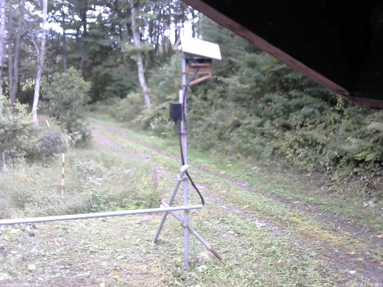 長野県菅平高原 ゆたか山荘 南側 2026/09/25 13:30