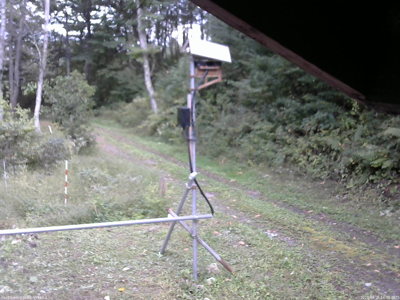 長野県菅平高原 ゆたか山荘 南側 2026/09/25 16:30