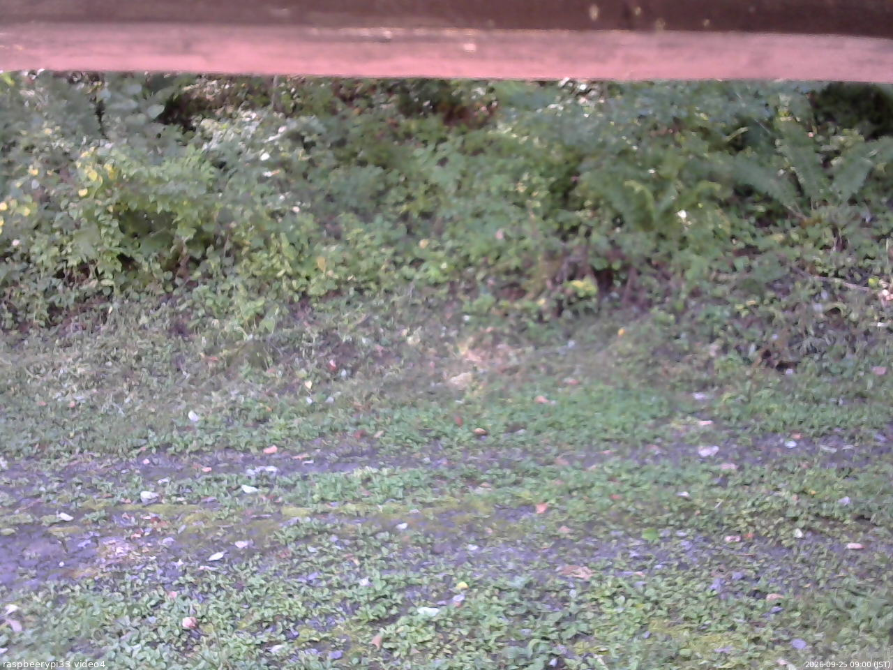 長野県菅平高原 ゆたか山荘 東側(坂下) 2026/09/25 09:00