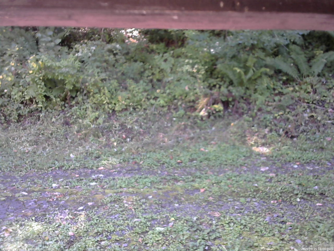 長野県菅平高原 ゆたか山荘 東側(坂下) 2026/09/25 10:00