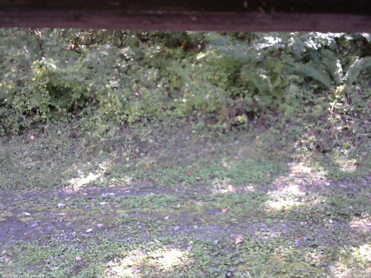 長野県菅平高原 ゆたか山荘 東側(坂下) 2026/09/25 12:45