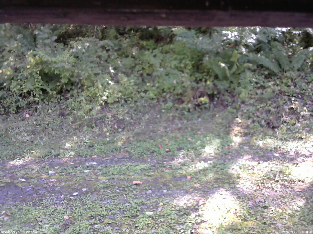 長野県菅平高原 ゆたか山荘 東側(坂下) 2026/09/25 13:00