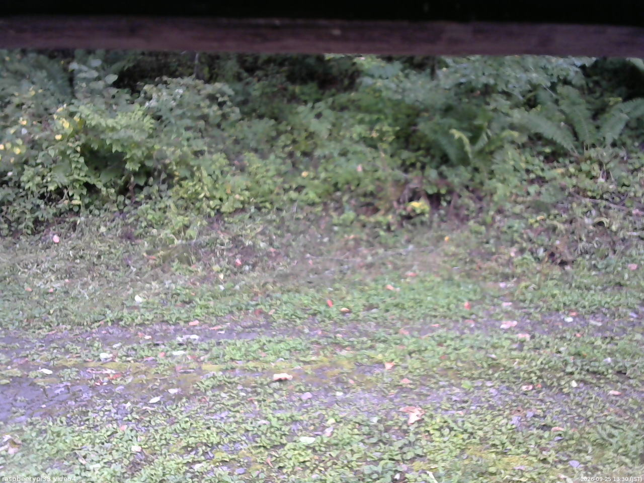 長野県菅平高原 ゆたか山荘 東側(坂下) 2026/09/25 13:30