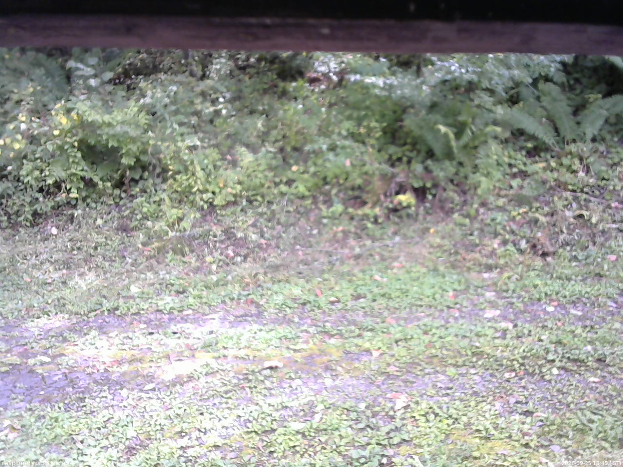 長野県菅平高原 ゆたか山荘 東側(坂下) 2026/09/25 13:45