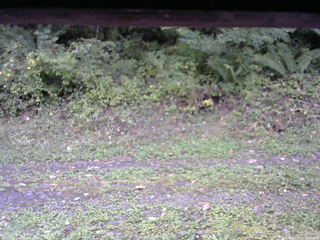 長野県菅平高原 ゆたか山荘 東側(坂下) 2026/09/25 14:00