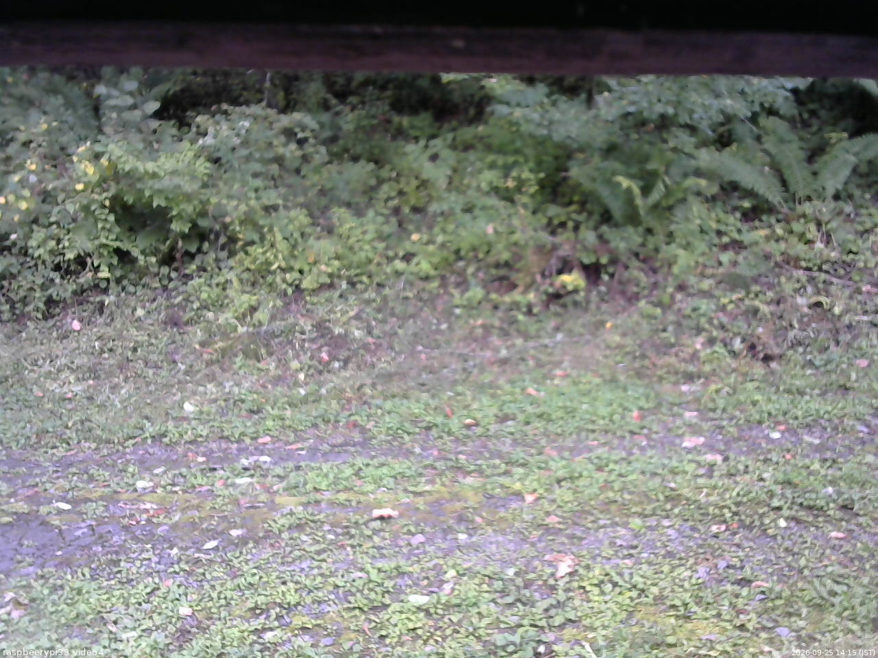 長野県菅平高原 ゆたか山荘 東側(坂下) 2026/09/25 14:15