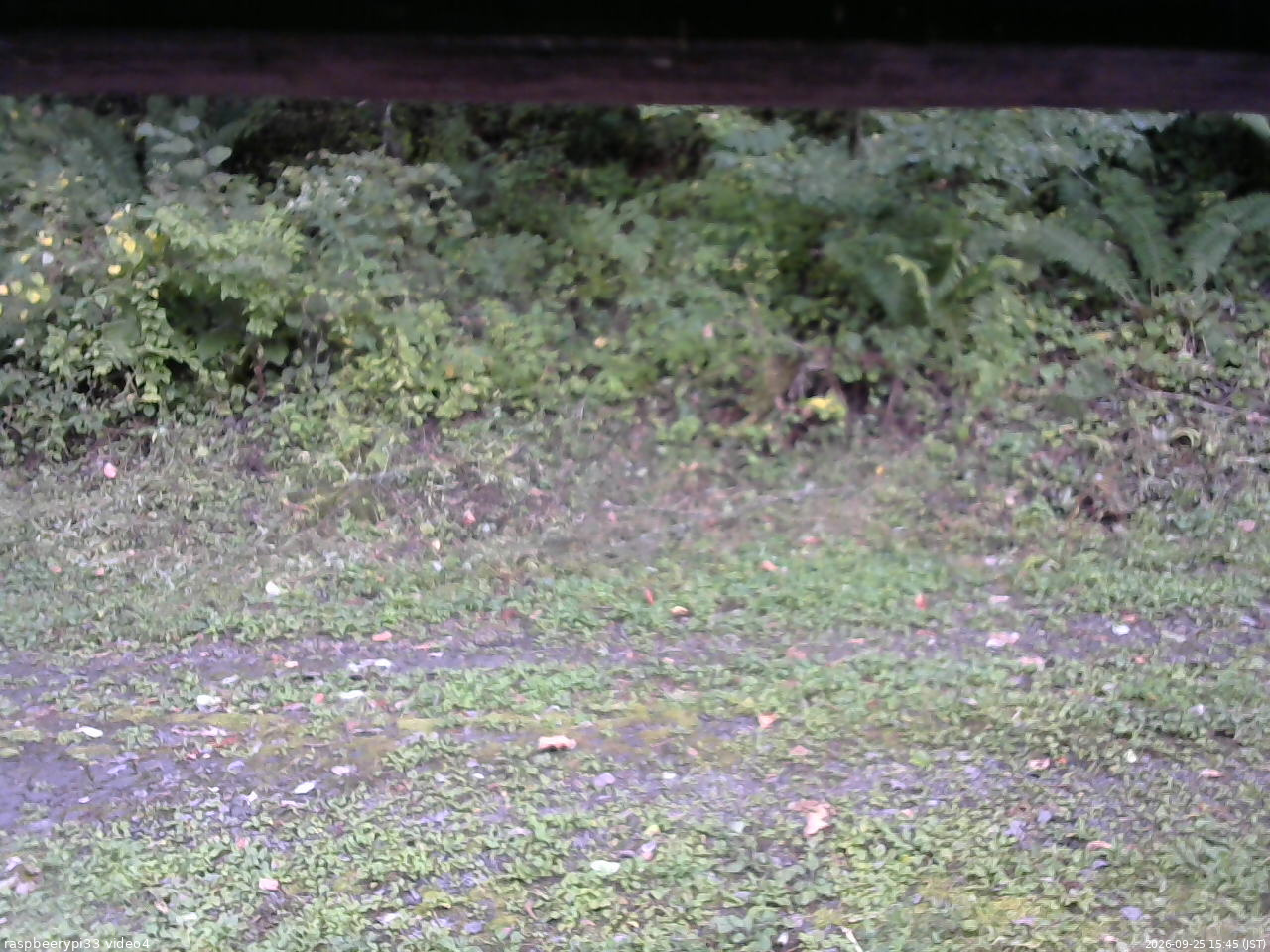 長野県菅平高原 ゆたか山荘 東側(坂下) 2026/09/25 15:45