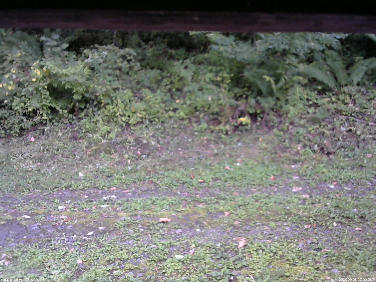 長野県菅平高原 ゆたか山荘 東側(坂下) 2026/09/25 17:00