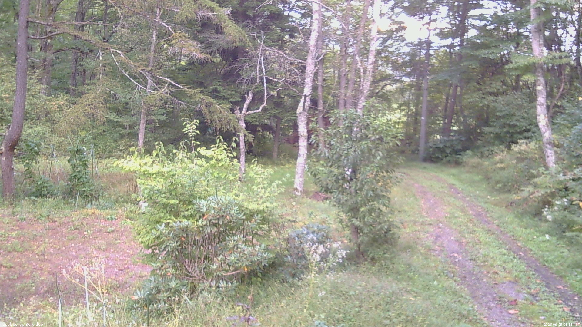 長野県菅平高原 ゆたか山荘 坂上 2026/09/25 06:15