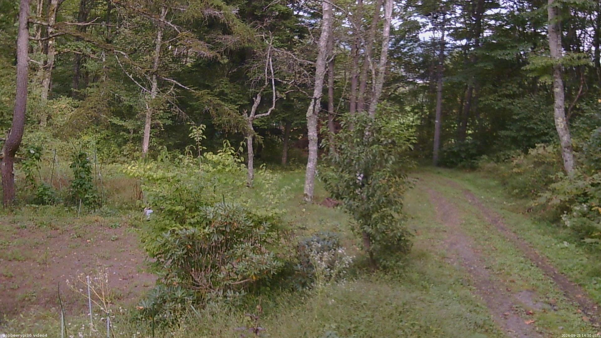 長野県菅平高原 ゆたか山荘 坂上 2026/09/25 14:30