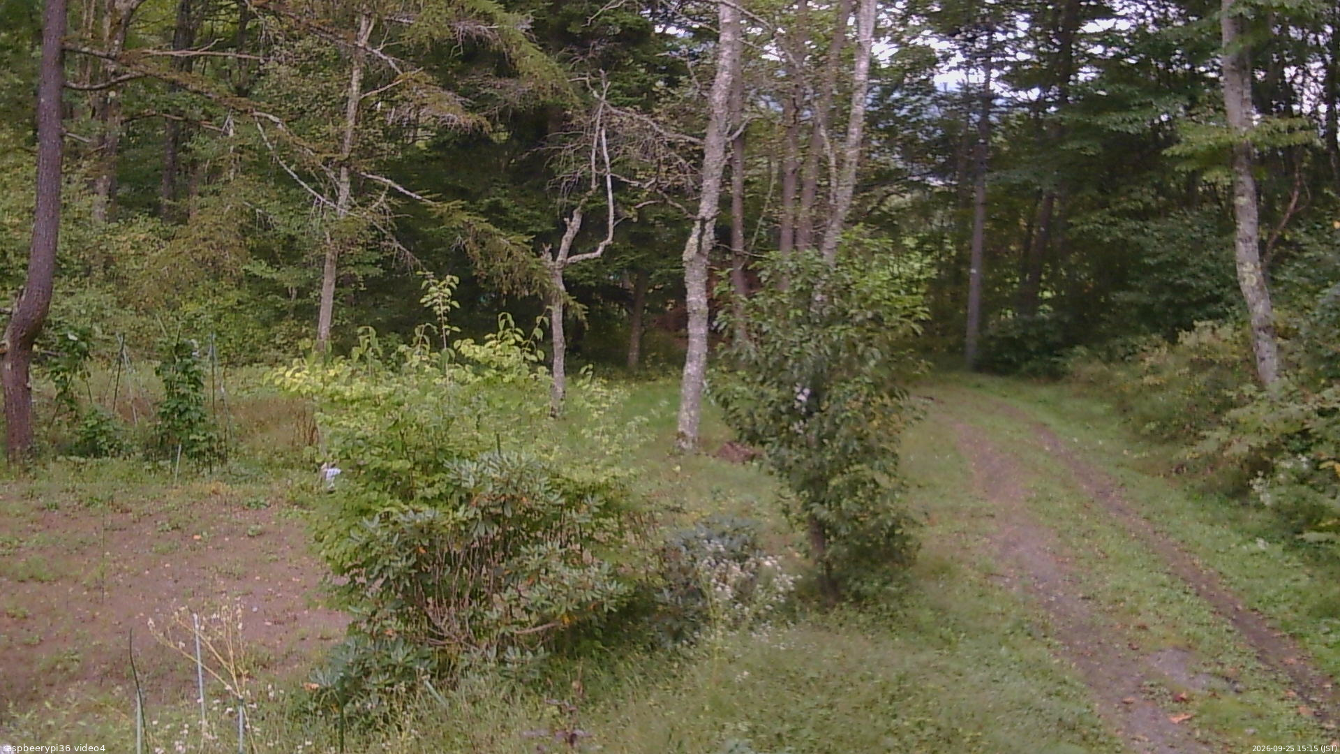 長野県菅平高原 ゆたか山荘 坂上 2026/09/25 15:15