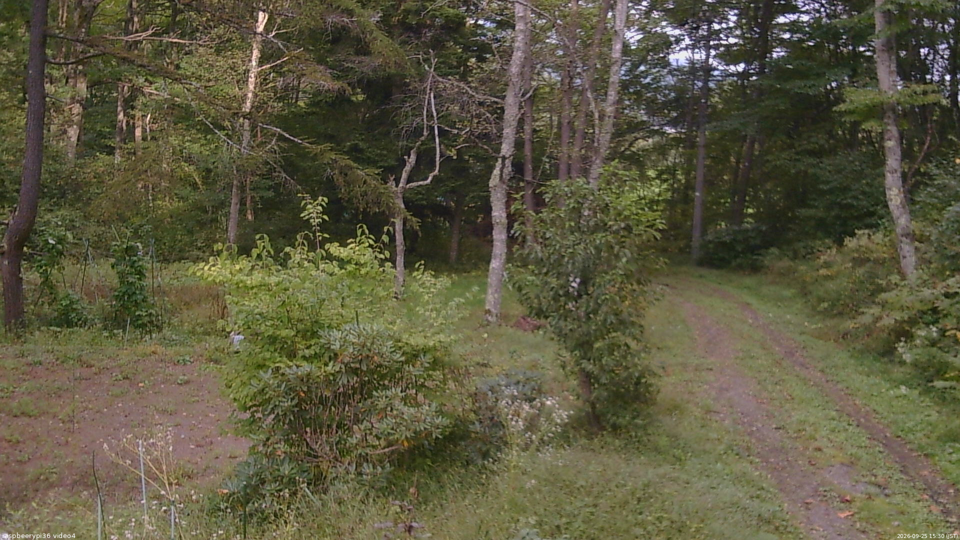 長野県菅平高原 ゆたか山荘 坂上 2026/09/25 15:30