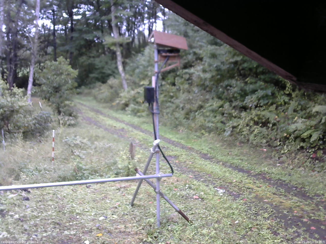 長野県菅平高原 ゆたか山荘 南側 2026/09/26 11:30
