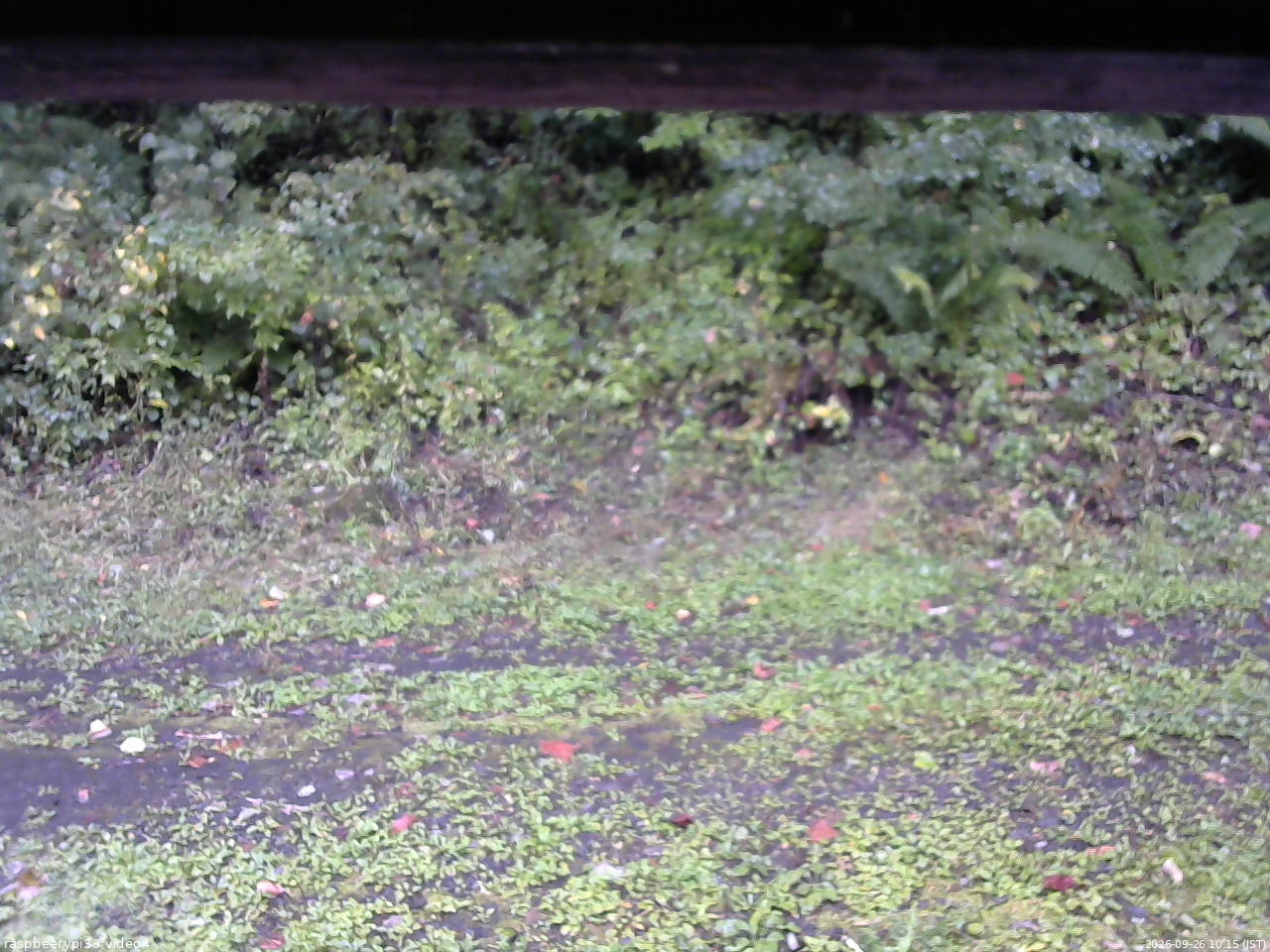 長野県菅平高原 ゆたか山荘 東側(坂下) 2026/09/26 10:15
