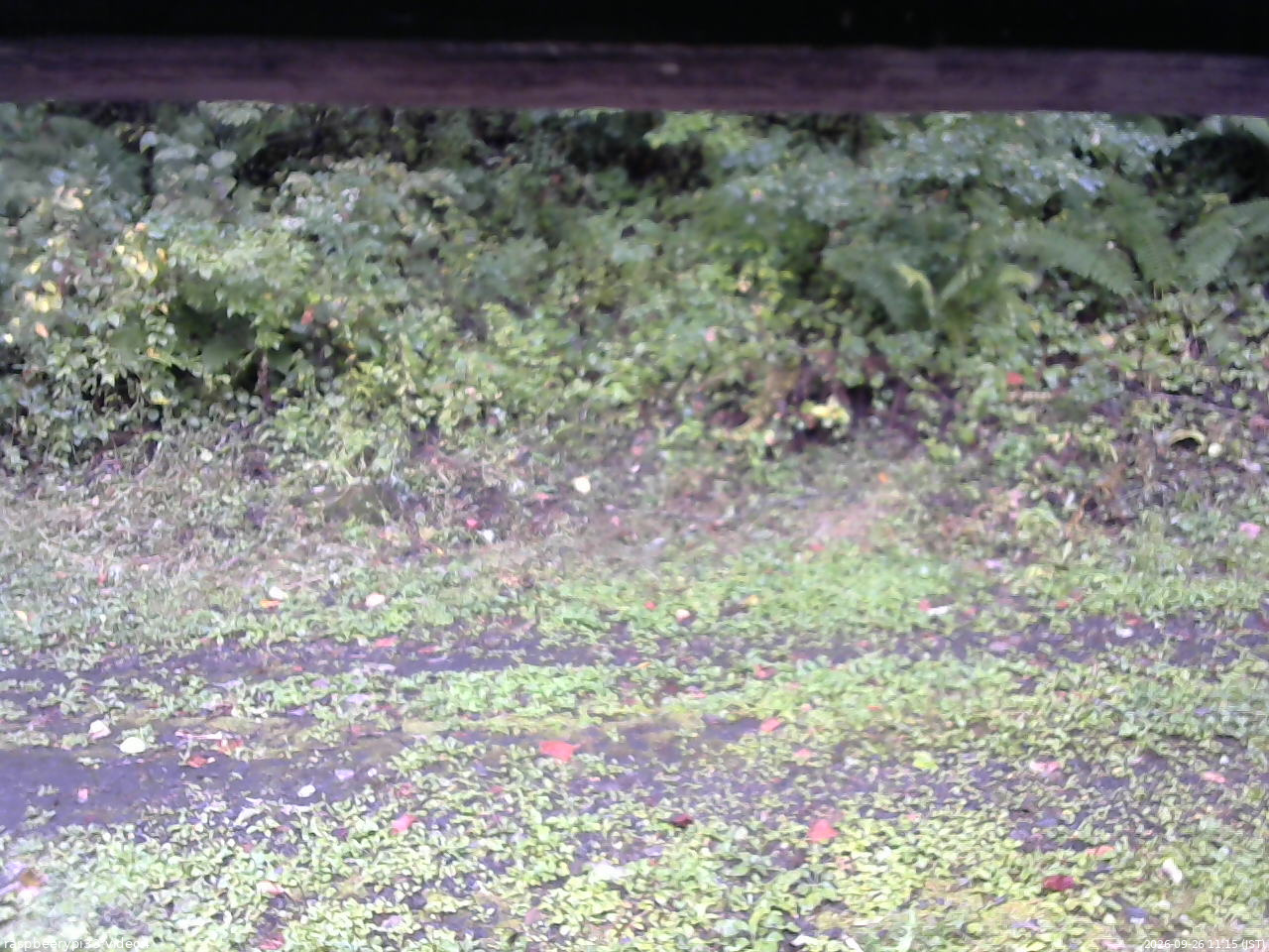 長野県菅平高原 ゆたか山荘 東側(坂下) 2026/09/26 11:15