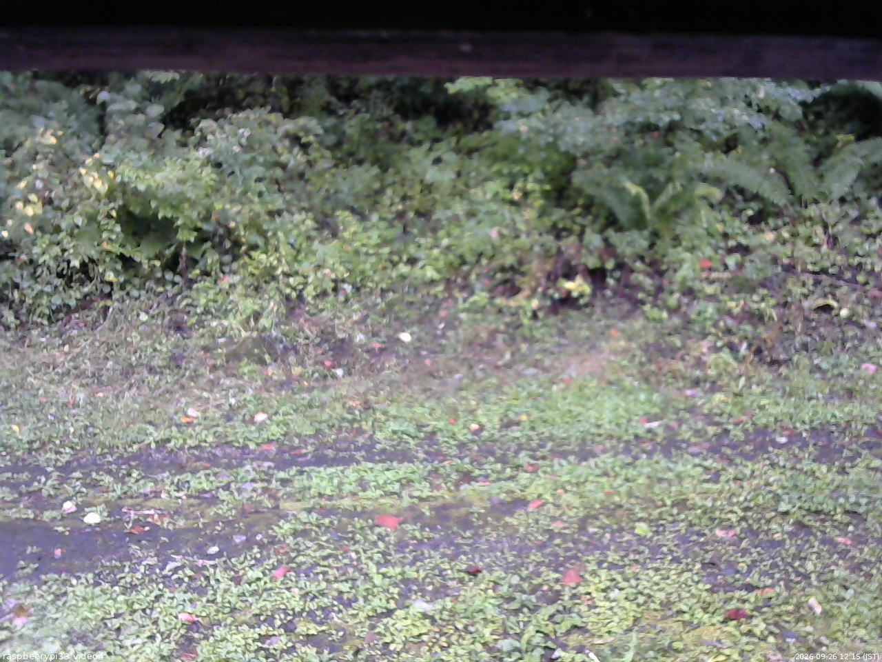 長野県菅平高原 ゆたか山荘 東側(坂下) 2026/09/26 12:15