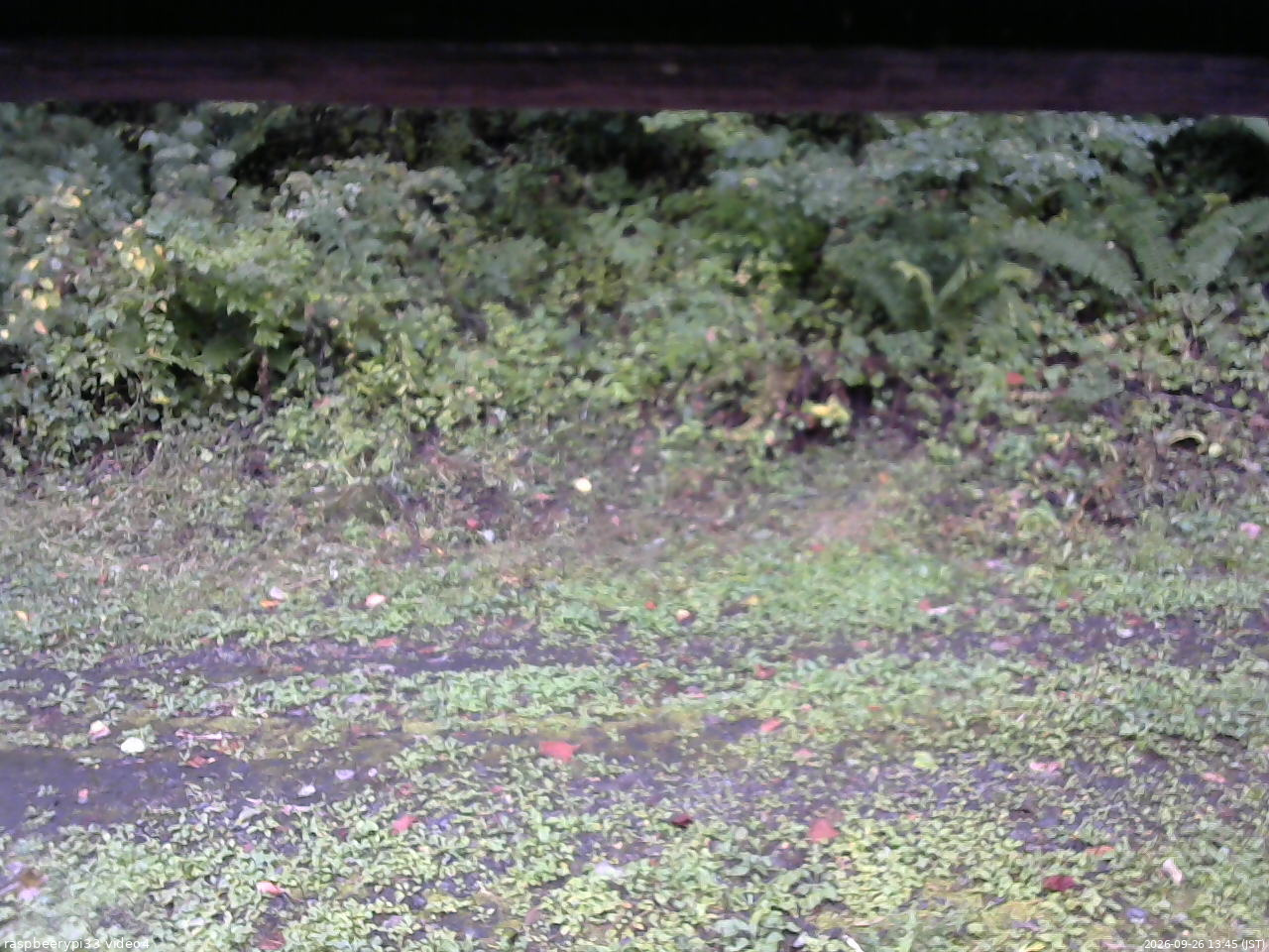 長野県菅平高原 ゆたか山荘 東側(坂下) 2026/09/26 13:45
